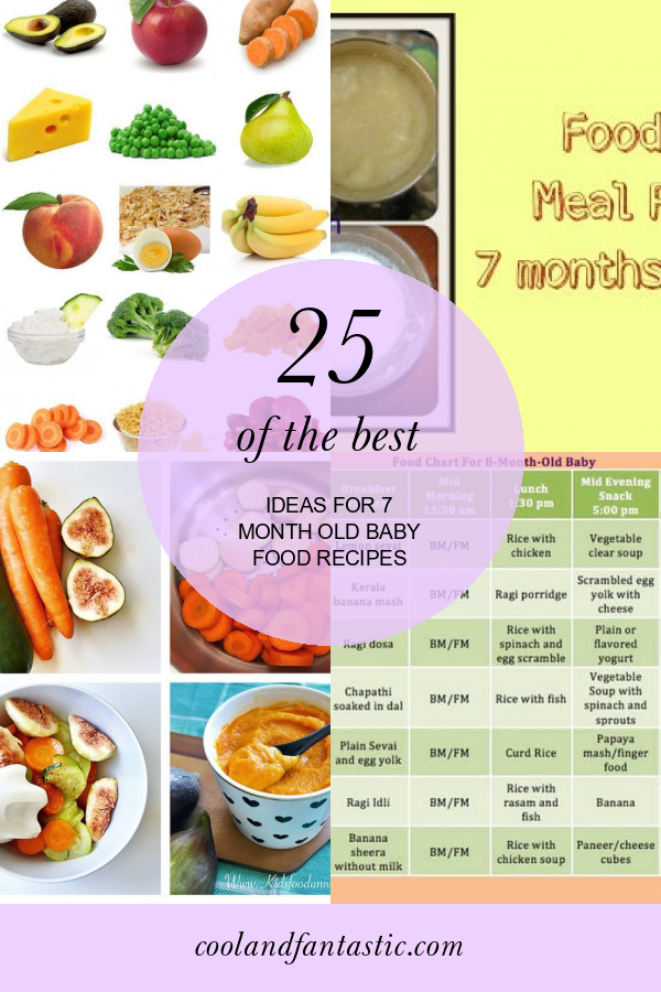 25 Of the Best Ideas for 7 Month Old Baby Food Recipes Home, Family